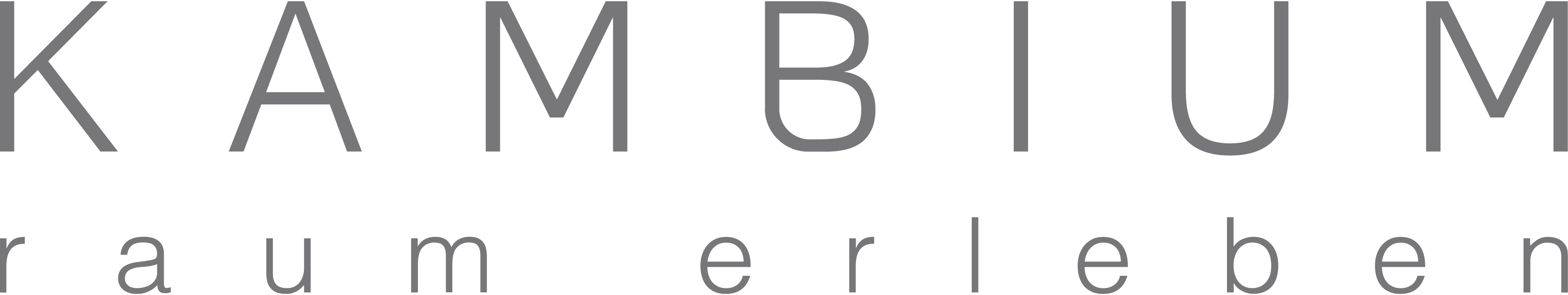 Logo Schriftzug für Website